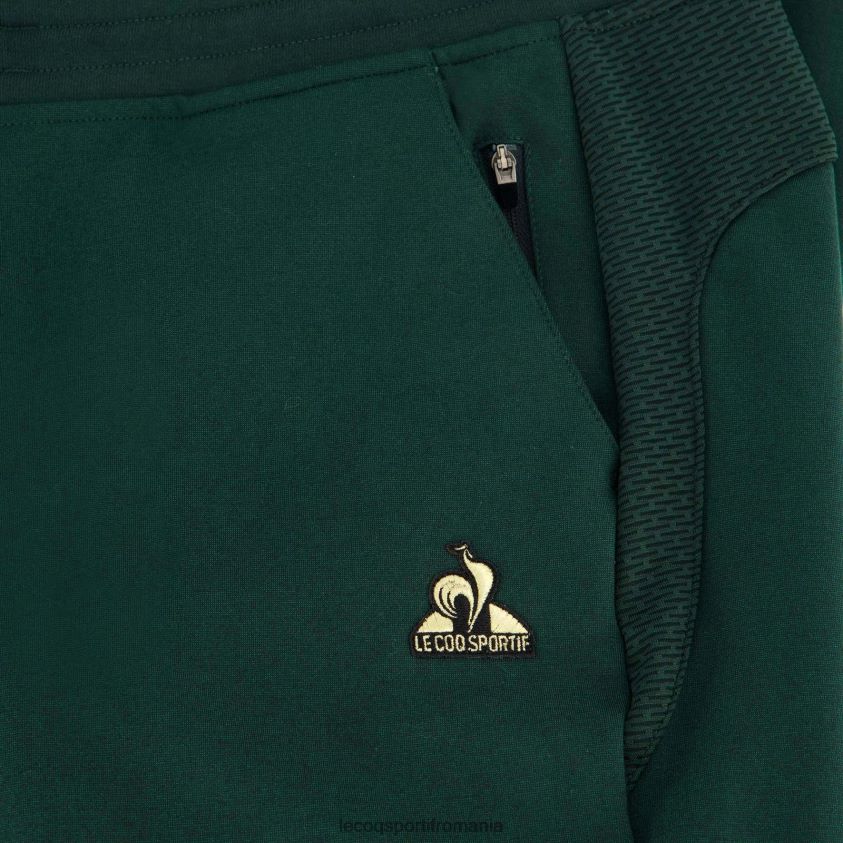 bărbați pantaloni verzi 4L4FJF504 Le Coq Sportif îmbrăcăminte