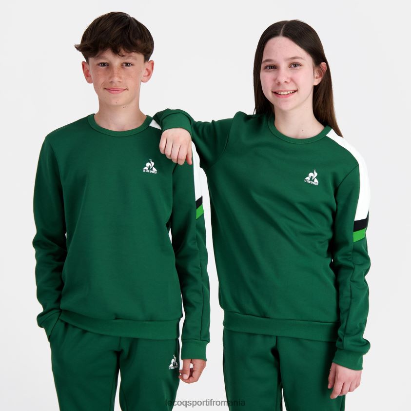 copii hanorac verde 4L4FJF392 Le Coq Sportif îmbrăcăminte