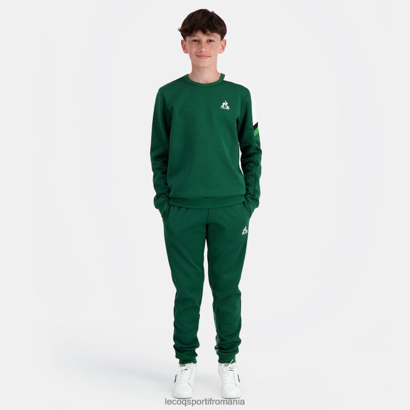 copii hanorac verde 4L4FJF392 Le Coq Sportif îmbrăcăminte